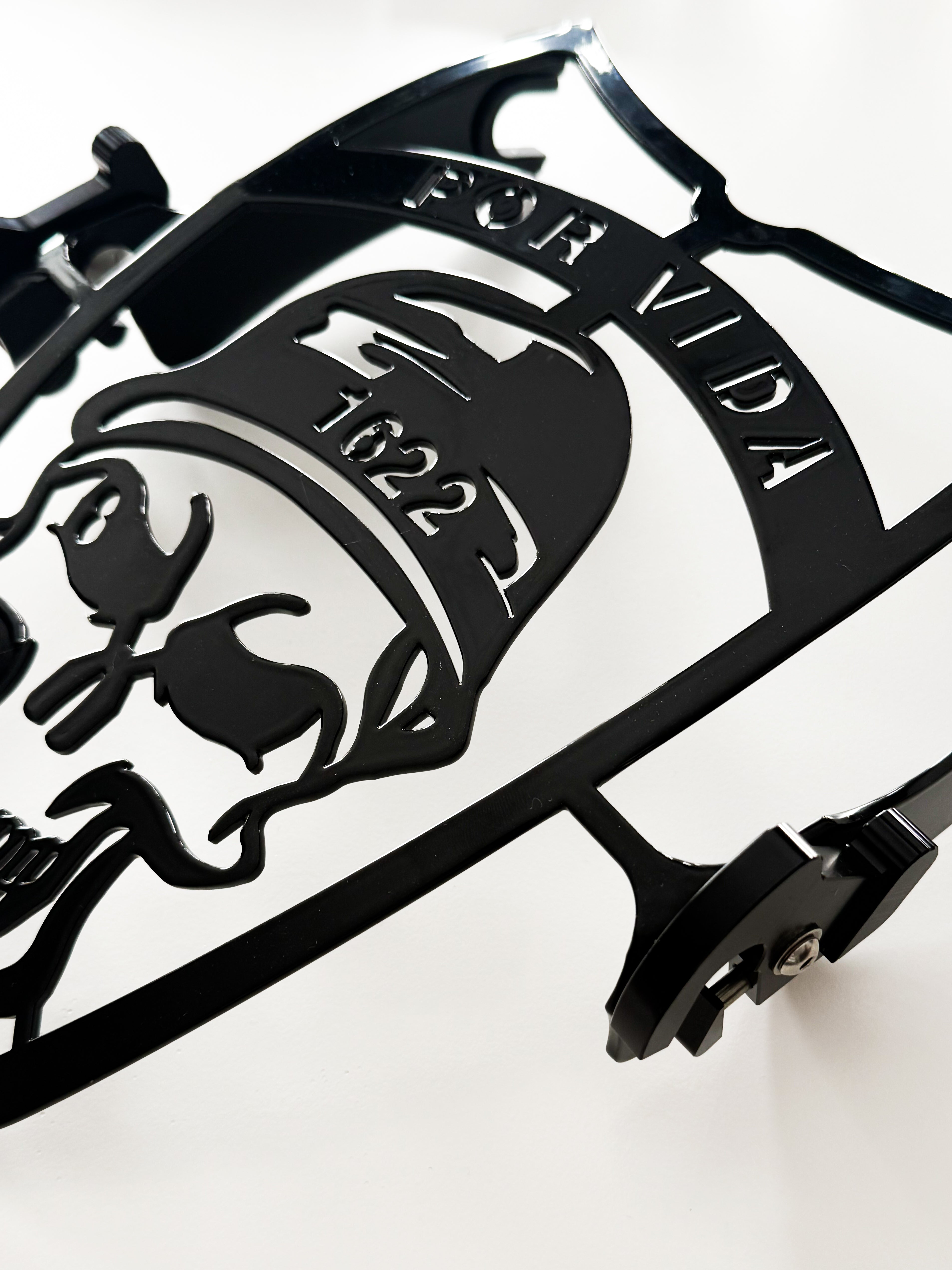 Customized Fender Guard for Harley Touring
