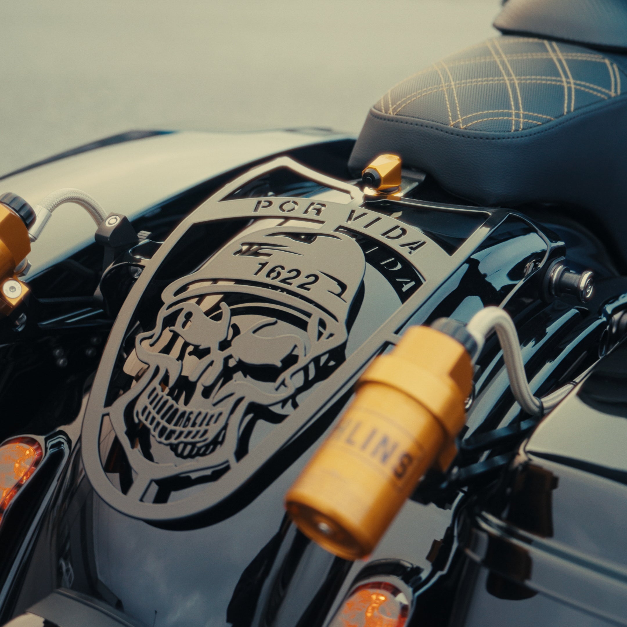 Customized Fender Guard for Harley Touring
