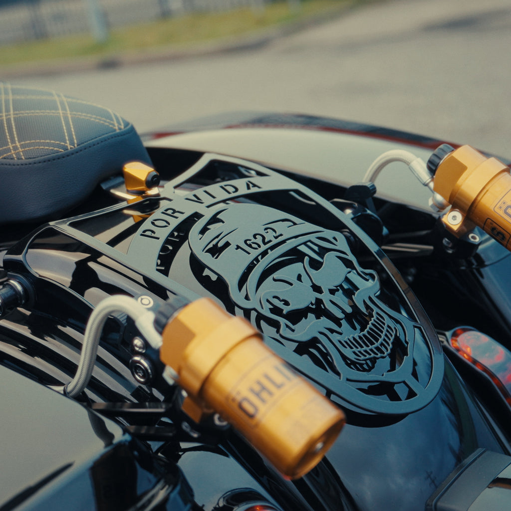 Customized Fender Guard for Harley Touring